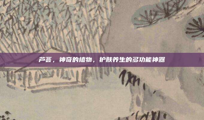 芦荟，神奇的植物，护肤养生的多功能神器