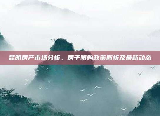昆明房产市场分析，房子限购政策解析及最新动态