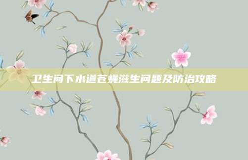 卫生间下水道苍蝇滋生问题及防治攻略