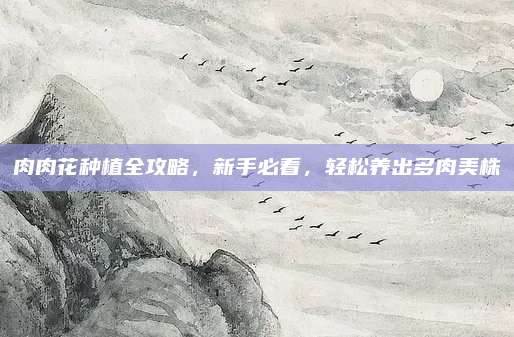 肉肉花种植全攻略，新手必看，轻松养出多肉美株