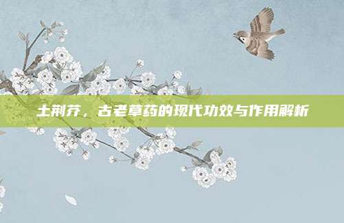 土荆芥，古老草药的现代功效与作用解析