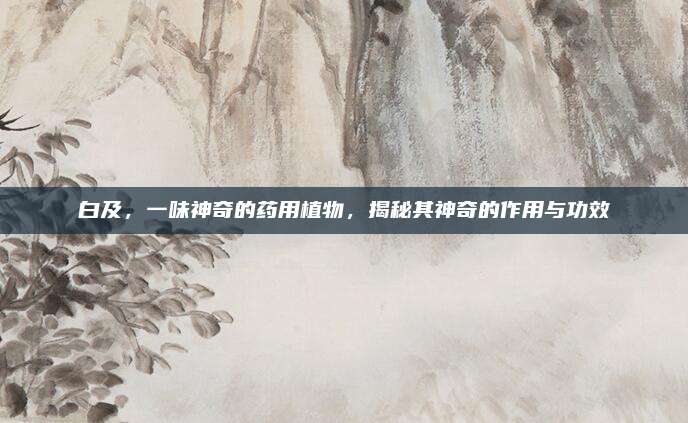 白及，一味神奇的药用植物，揭秘其神奇的作用与功效