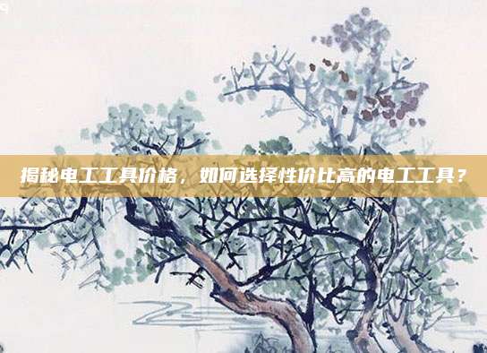 揭秘电工工具价格，如何选择性价比高的电工工具？