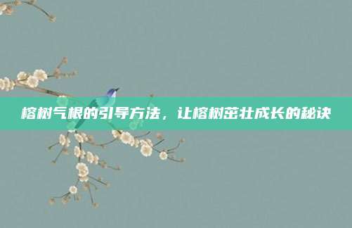 榕树气根的引导方法，让榕树茁壮成长的秘诀