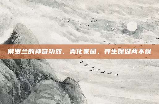 紫罗兰的神奇功效，美化家园，养生保健两不误