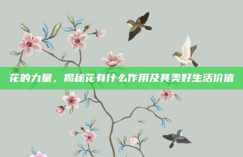 花的力量，揭秘花有什么作用及其美好生活价值