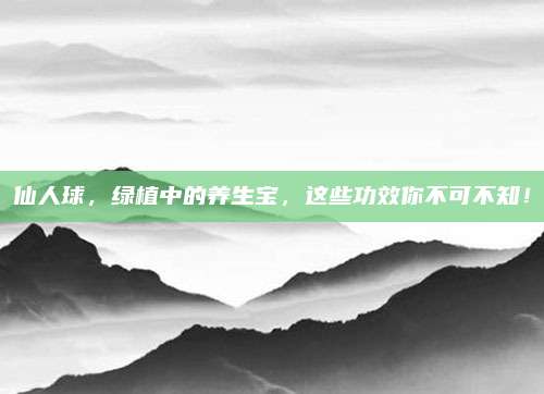 仙人球，绿植中的养生宝，这些功效你不可不知！
