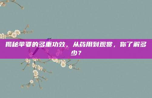 揭秘苹婆的多重功效，从药用到观赏，你了解多少？
