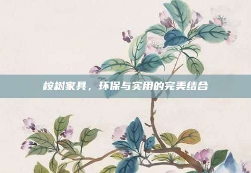 桉树家具，环保与实用的完美结合