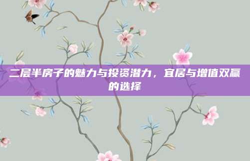 二层半房子的魅力与投资潜力，宜居与增值双赢的选择
