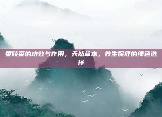 委陵菜的功效与作用，天然草本，养生保健的绿色选择