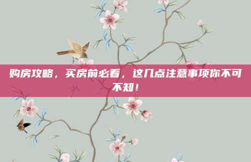 购房攻略，买房前必看，这几点注意事项你不可不知！