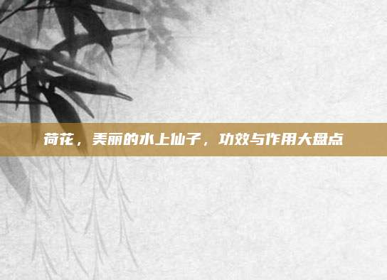 荷花，美丽的水上仙子，功效与作用大盘点