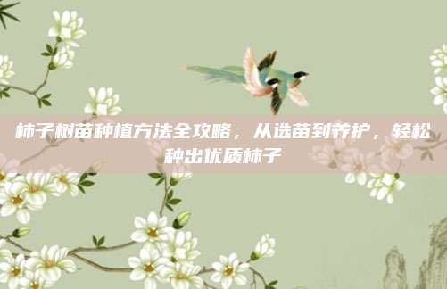 柿子树苗种植方法全攻略，从选苗到养护，轻松种出优质柿子