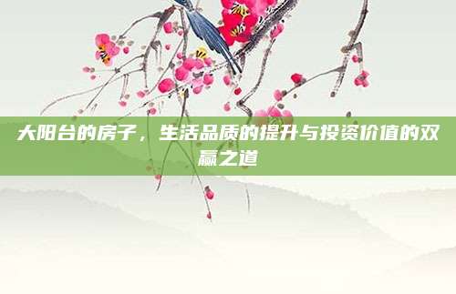 大阳台的房子，生活品质的提升与投资价值的双赢之道