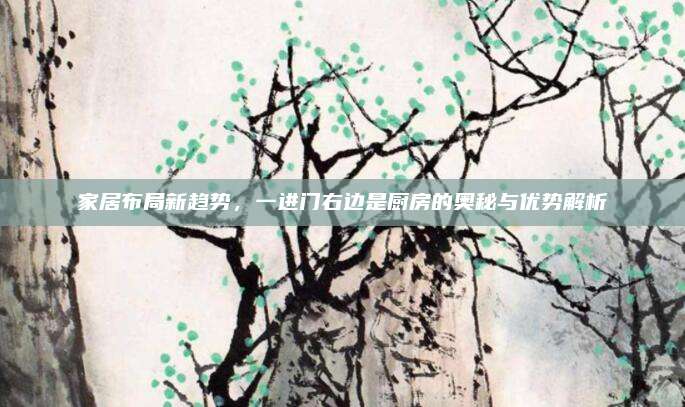 家居布局新趋势，一进门右边是厨房的奥秘与优势解析