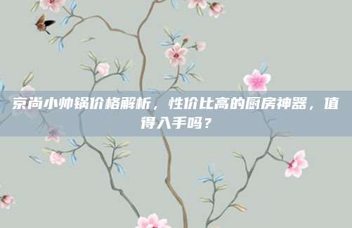 京尚小帅锅价格解析，性价比高的厨房神器，值得入手吗？
