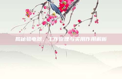 揭秘验电器，工作原理与实用作用解析