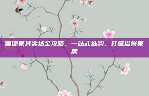 常德家具卖场全攻略，一站式选购，打造温馨家居