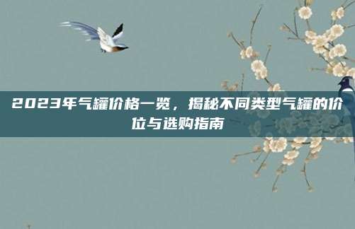2023年气罐价格一览，揭秘不同类型气罐的价位与选购指南