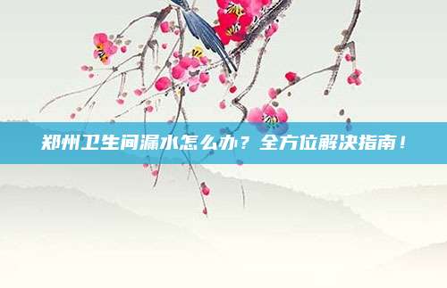 郑州卫生间漏水怎么办？全方位解决指南！