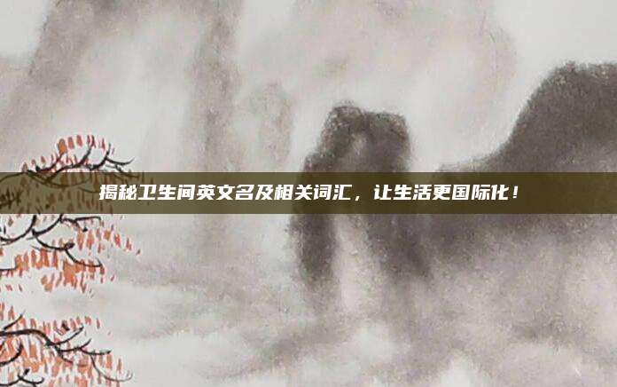 揭秘卫生间英文名及相关词汇，让生活更国际化！