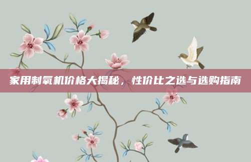 家用制氧机价格大揭秘，性价比之选与选购指南
