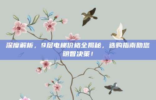 深度解析，9层电梯价格全揭秘，选购指南助您明智决策！