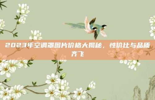 2023年空调罩图片价格大揭秘，性价比与品质齐飞