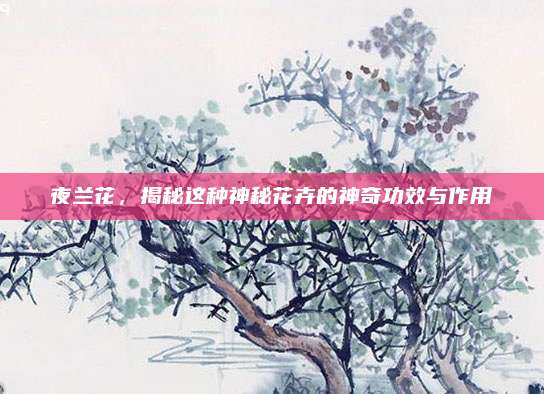 夜兰花，揭秘这种神秘花卉的神奇功效与作用