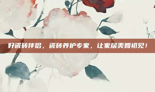 好瓷砖伴侣，瓷砖养护专家，让家居美如初见！