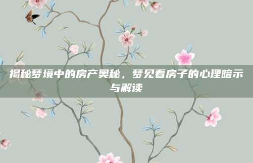 揭秘梦境中的房产奥秘，梦见看房子的心理暗示与解读