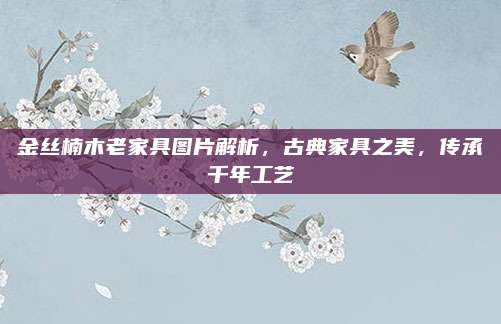 金丝楠木老家具图片解析，古典家具之美，传承千年工艺