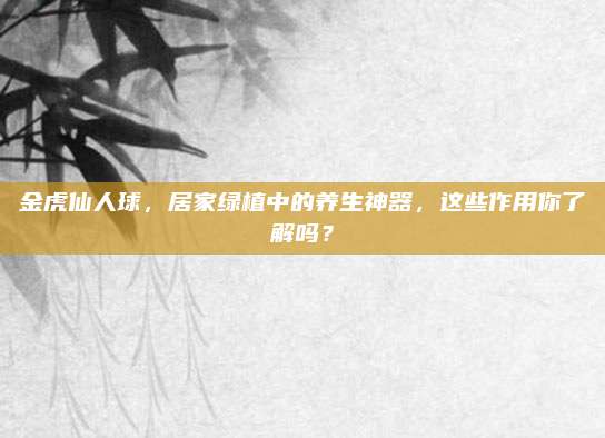 金虎仙人球，居家绿植中的养生神器，这些作用你了解吗？
