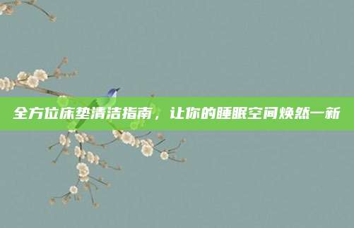 全方位床垫清洁指南，让你的睡眠空间焕然一新