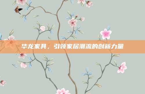 华龙家具，引领家居潮流的创新力量