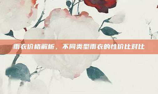 雨衣价格解析，不同类型雨衣的性价比对比