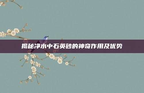 揭秘净水中石英砂的神奇作用及优势