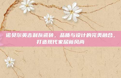 诺贝尔英吉利灰瓷砖，品质与设计的完美融合，打造现代家居新风尚