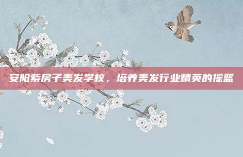 安阳紫房子美发学校，培养美发行业精英的摇篮