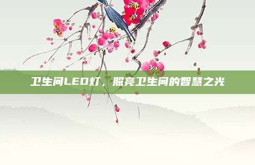 卫生间LED灯，照亮卫生间的智慧之光