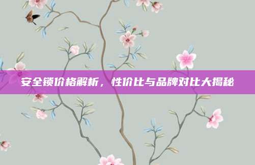 安全锁价格解析，性价比与品牌对比大揭秘