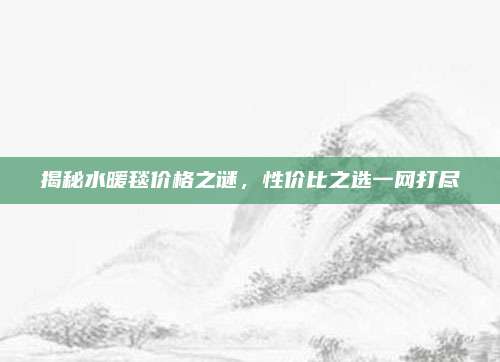 揭秘水暖毯价格之谜，性价比之选一网打尽