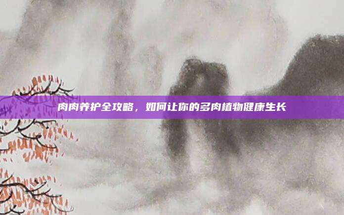 肉肉养护全攻略，如何让你的多肉植物健康生长