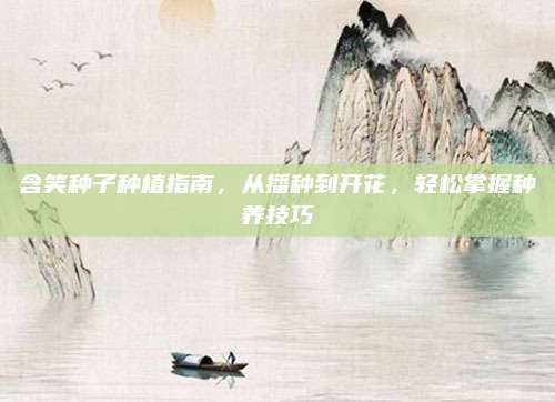含笑种子种植指南，从播种到开花，轻松掌握种养技巧