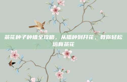 茶花种子种植全攻略，从播种到开花，教你轻松培育茶花
