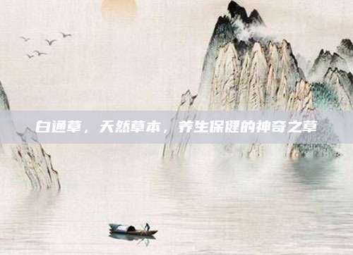 白通草，天然草本，养生保健的神奇之草