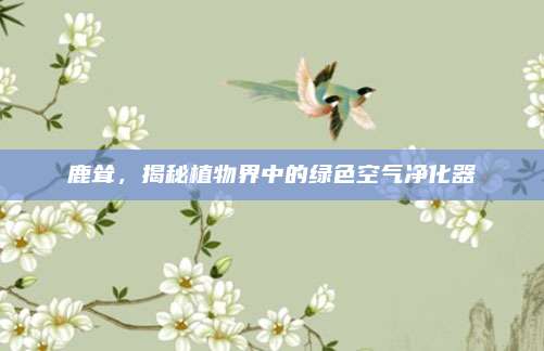 鹿耸，揭秘植物界中的绿色空气净化器