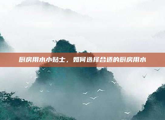 厨房用水小贴士，如何选择合适的厨房用水