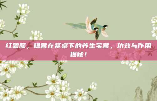 红薯藤，隐藏在餐桌下的养生宝藏，功效与作用揭秘！